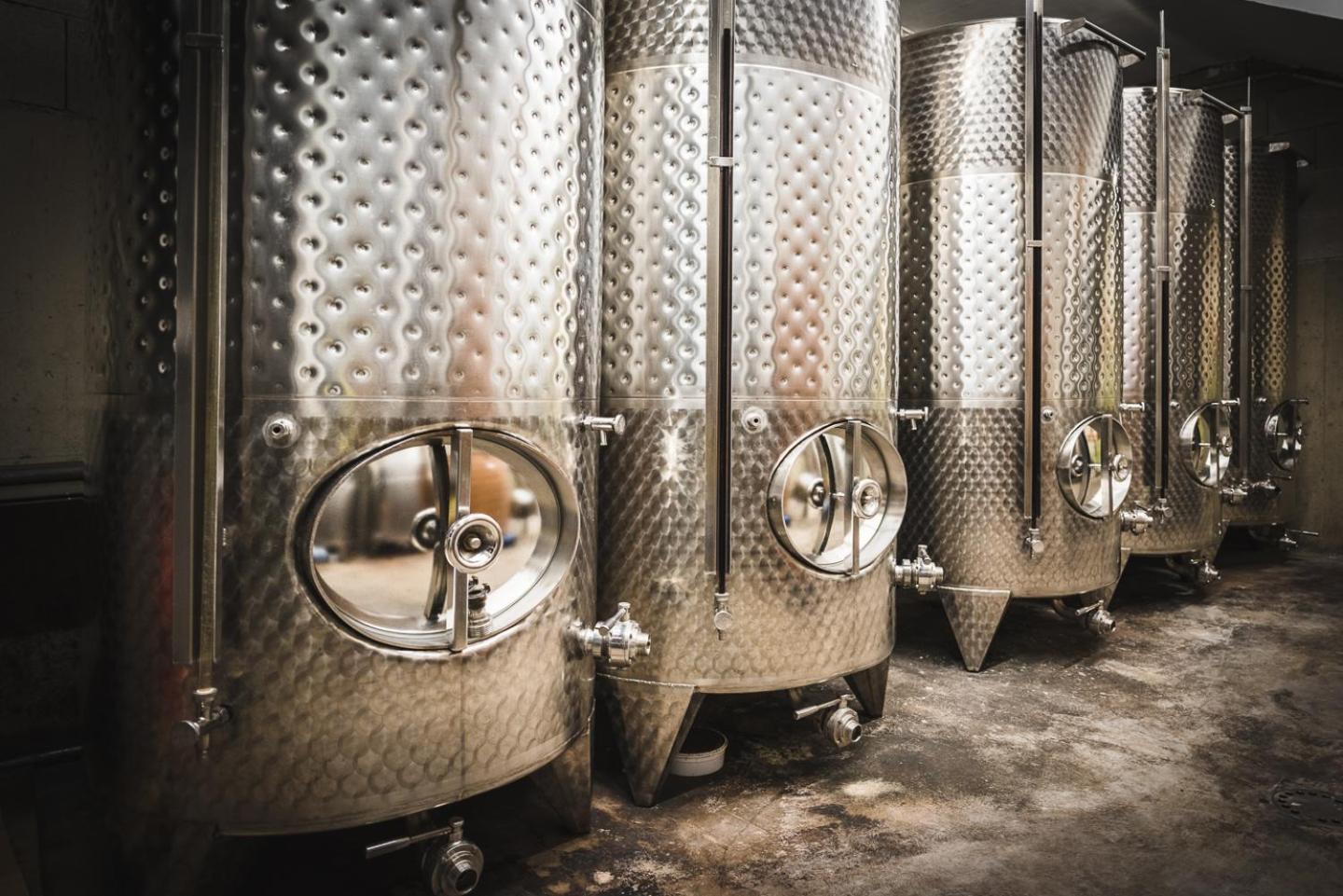 Weingut Gaestehaus D&D Haider Jois Extérieur photo